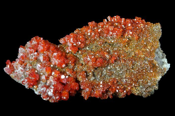 Vibrant Red Vanadinite Crystals on Matrix - Arizona #69204